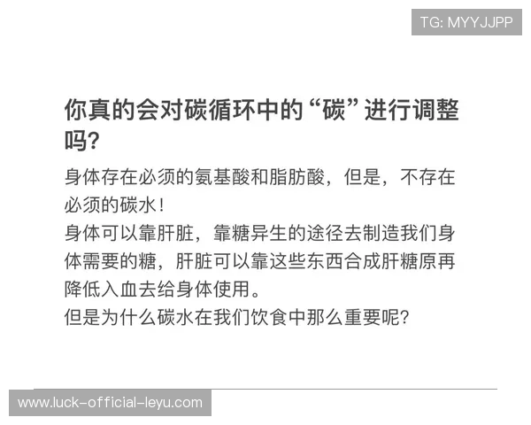 什么是“碳水循环法”?2026 赛季职业球员控制体脂的秘密武器。 什么是“碳水循环法”?2026 赛季职业球员控制体脂的秘密武器。
